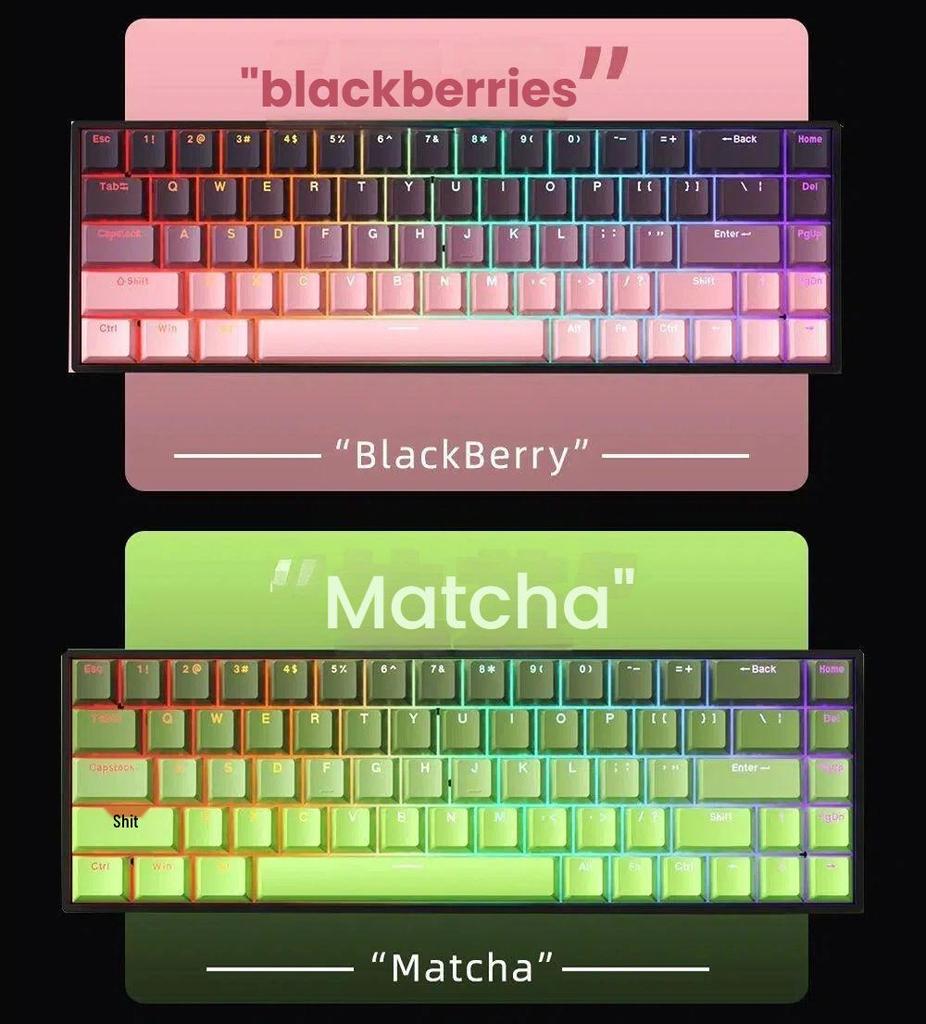K61 Compact RGB Mechanical Keyboard - 61-Key Portable for Laptop & Office Gaming with Blue, Brown, Red Switch Options