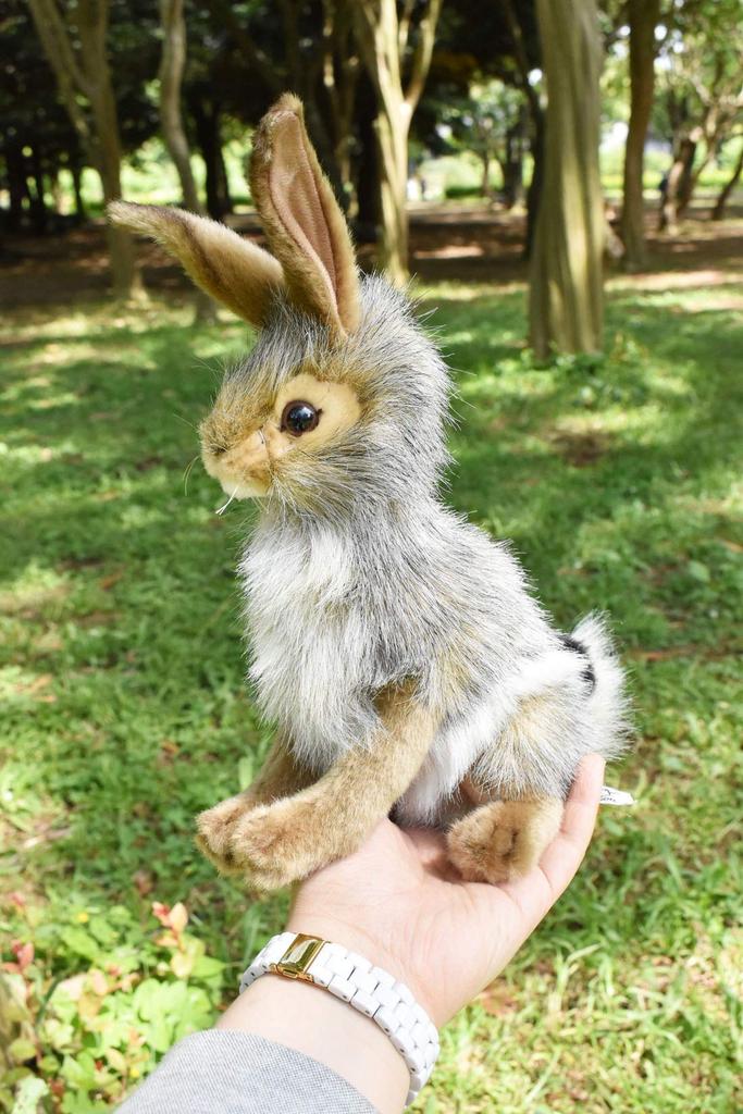 HANSA HANSA Rabbit 23cm BH3754 Black-tailed No.3754