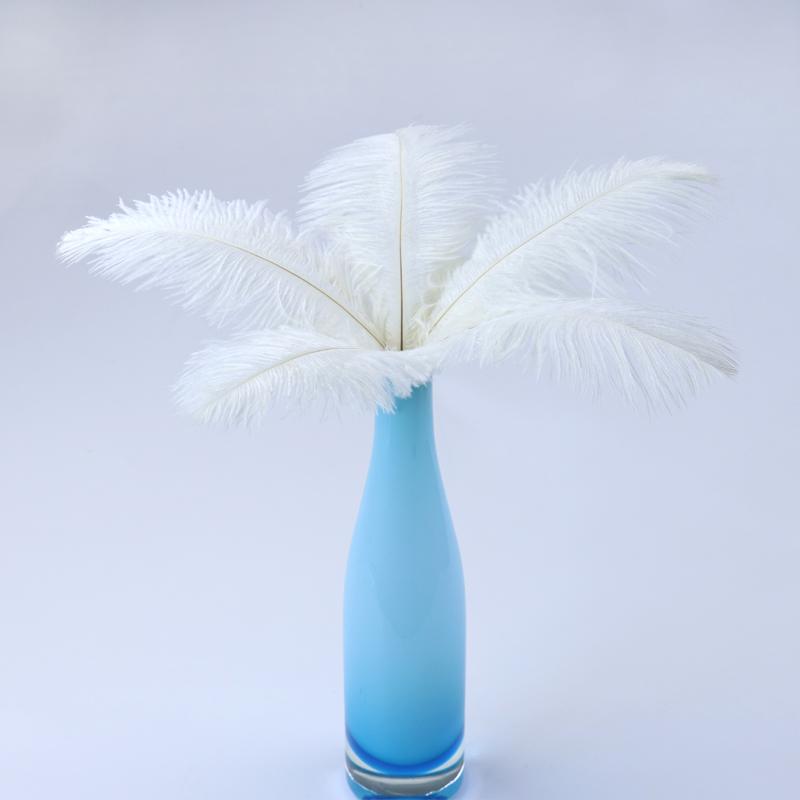 10Pcs Natural White Ostrich Feathers 10-15cm 15-20cm 25-30cm 30-35cm Wedding Party Home Decoration Ostrich Plumes Craft Supplies