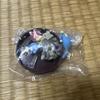 [USED] 3D Pokémon Encyclopedia Figures: Zebstrika, Luvdisc, Lanturn, and Chomp