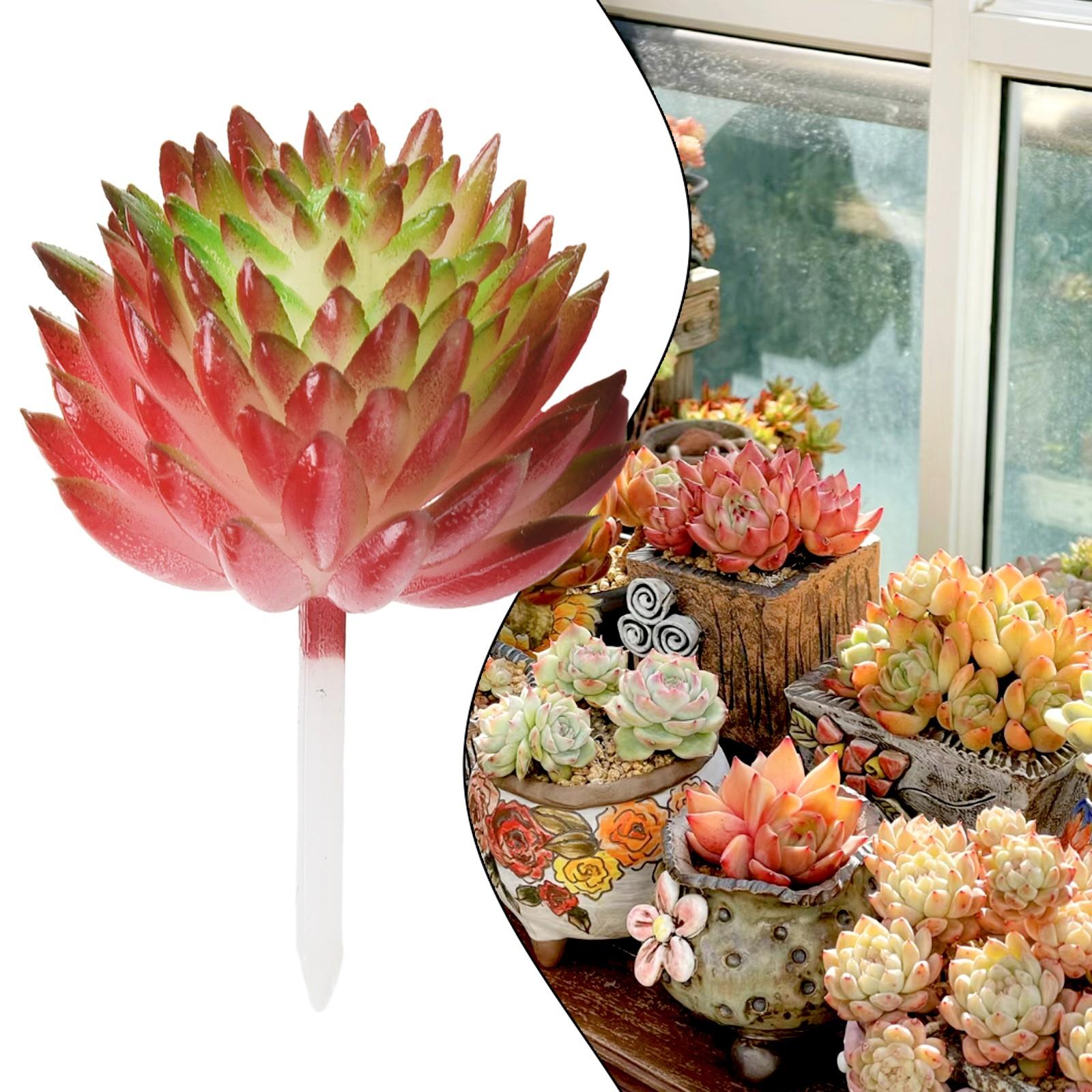 Мини Поддельные Эхеверия Сочные Цветы Семья Искусственные Растения Горшечные Цветы Spring