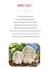 Long-eared Rabbit Plush Toy Skirt-Wearing Doll - Children's Gift