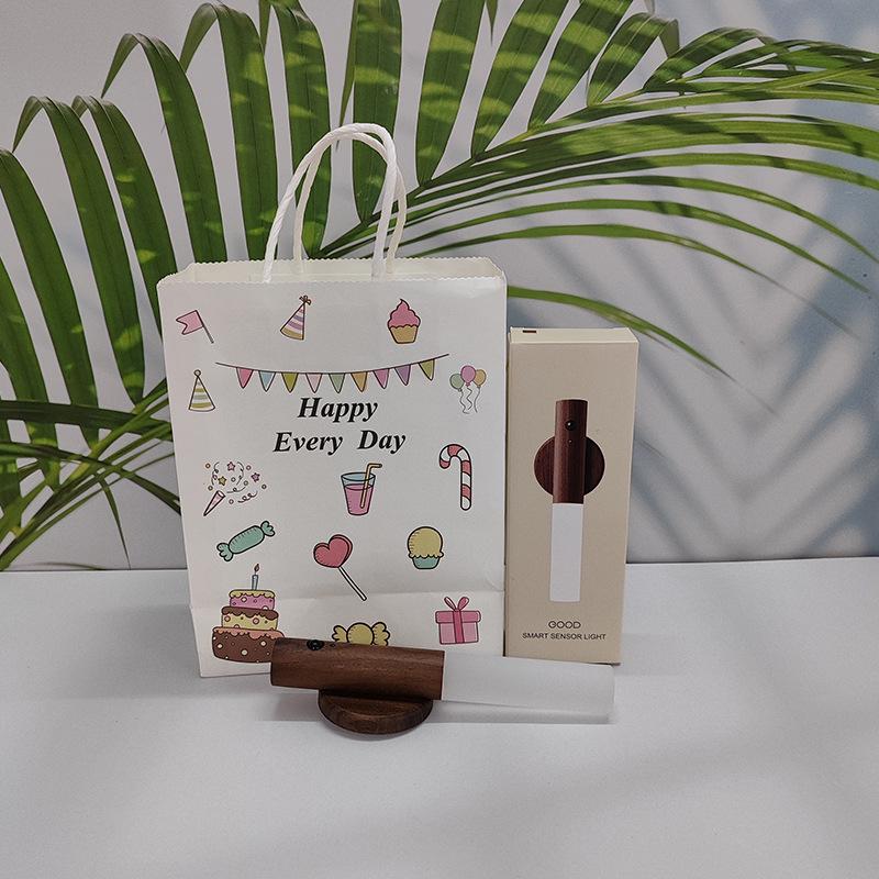 Rechargeable LED Motion Sensor Night Light for Bathroom or Corridor