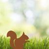 1pc Squirrel Metal Garden Stake - Enhance your yard with this stake. Ideal for fall and outdoor. Elegant garden ornament