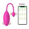 APP Remote Control G-spot Panty Vibrator Wearable Rechargerable Adult Sex Toys More Than 10 Vibrations for Women and Couple Female Toy