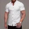 Summer New Short-sleeved Printed Shirt Men's Casual Fashion Solid Color Thin Top