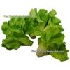 PU Simulation Purple Cabbage & Lettuce Vegetables - Faux Plants for Decoration, Education & Photography Props