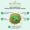 Neuwganic Organic Mint Leaf Pudina Powder 200gm