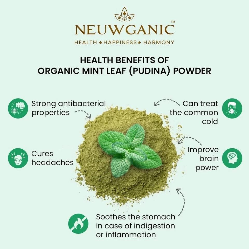 Neuwganic Organic Mint Leaf Pudina Powder 200gm