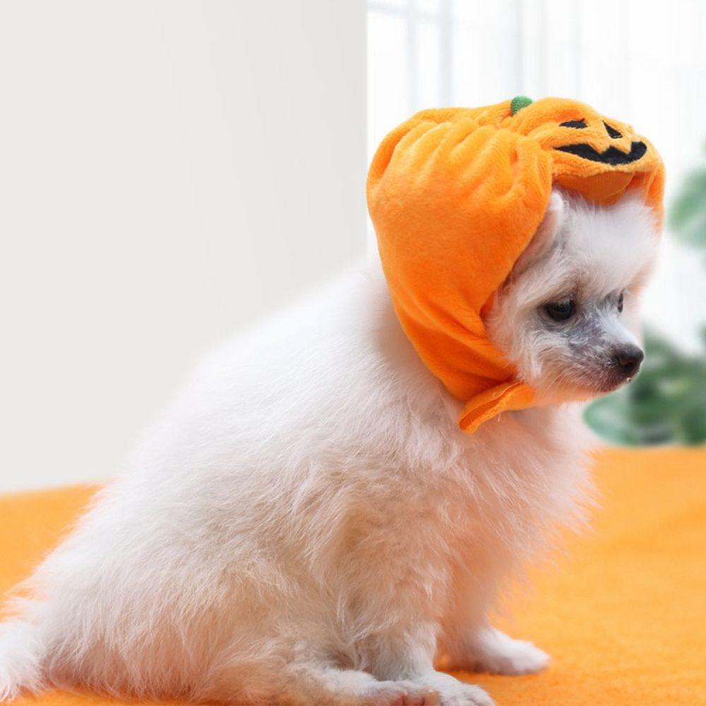Verkleidung Kürbis Hunde Hut Cosplay Kostüm Plüsch Katze Kopfbedeckung Geschenk Haustier Halloween Hut Dekoration