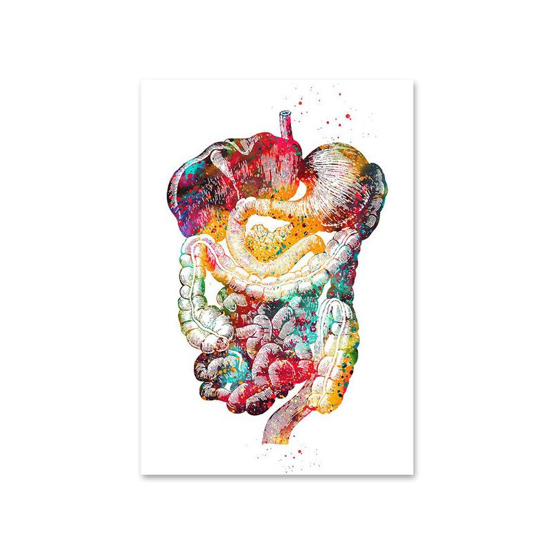 Menschliche Struktur, Herz, Lunge und Knochen, Poster und Drucke, medizinische Kliniken, Leinwandgemälde, Wandkunst, Geschenk für medizinische Enthusiasten