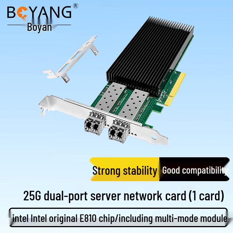 Boyang Intel PCI-E Server Network Adapter (CN Version)