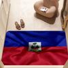 Vintage Haiti Haitian Flag Hallway Carpet Non-Slip Laundry Room Mat Laundry Decor Balcony Child Living Room Toilet Rug