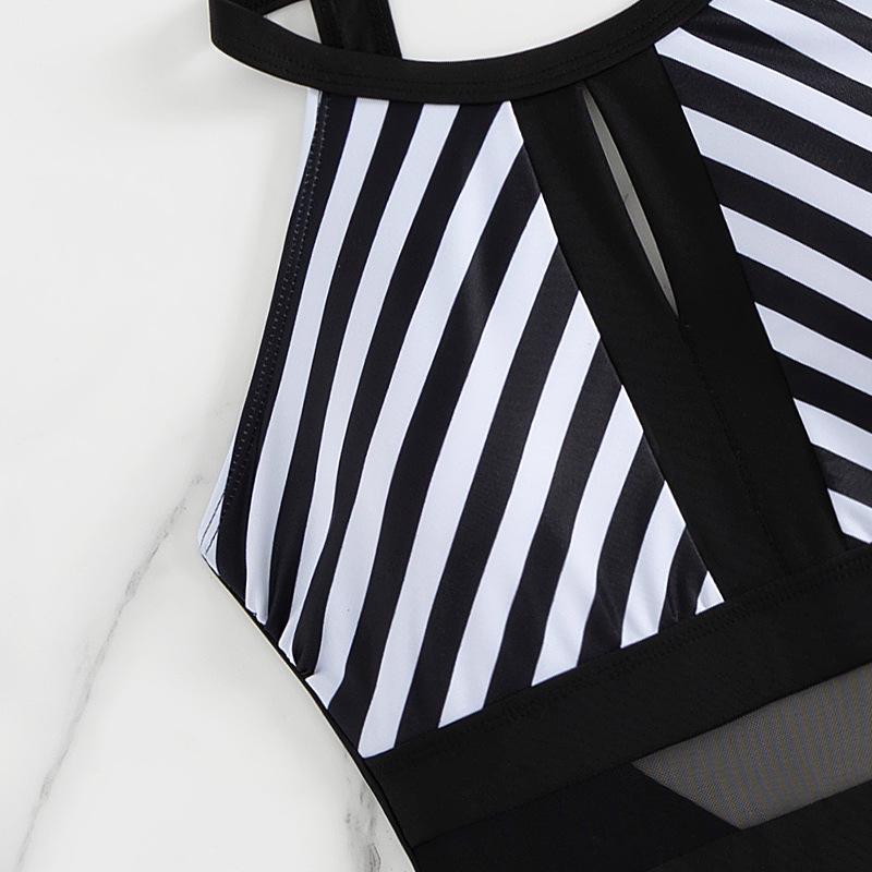 2026 Plus Size Lace Stripe One-Piece Swimsuit