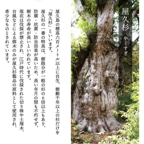 Yakusugi Chopsticks, Premium Single Pair, 23cm, Natural Yakusugi Wood, Gift Box, Made in Japan