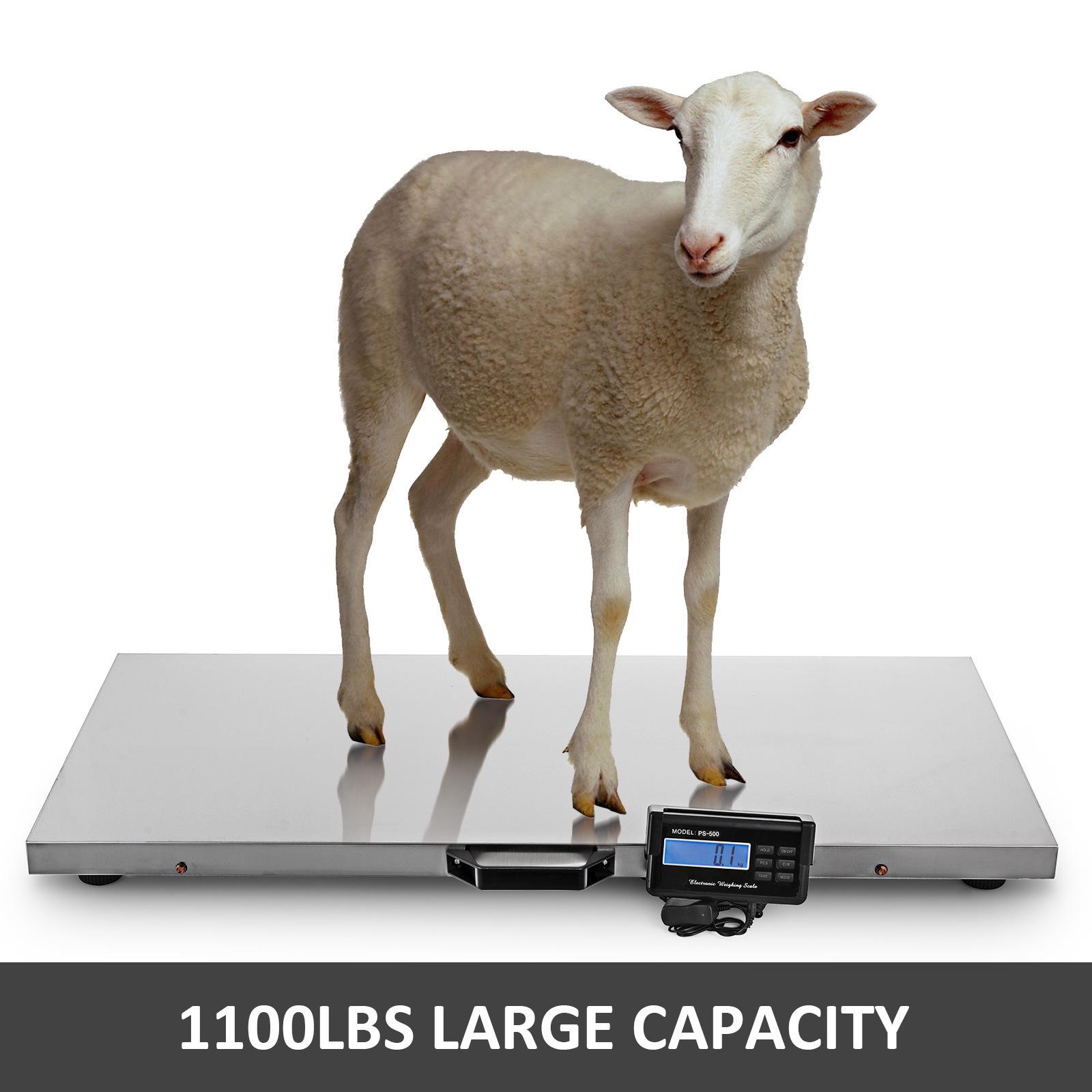 Stainless steel 300 kg