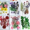 Pressed Dried Flower DIY Kit: Bookmark, Resin, & Phone Case Embossing Materials