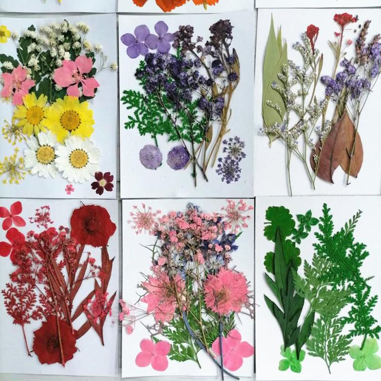 Pressed Dried Flower DIY Kit: Bookmark, Resin, & Phone Case Embossing Materials