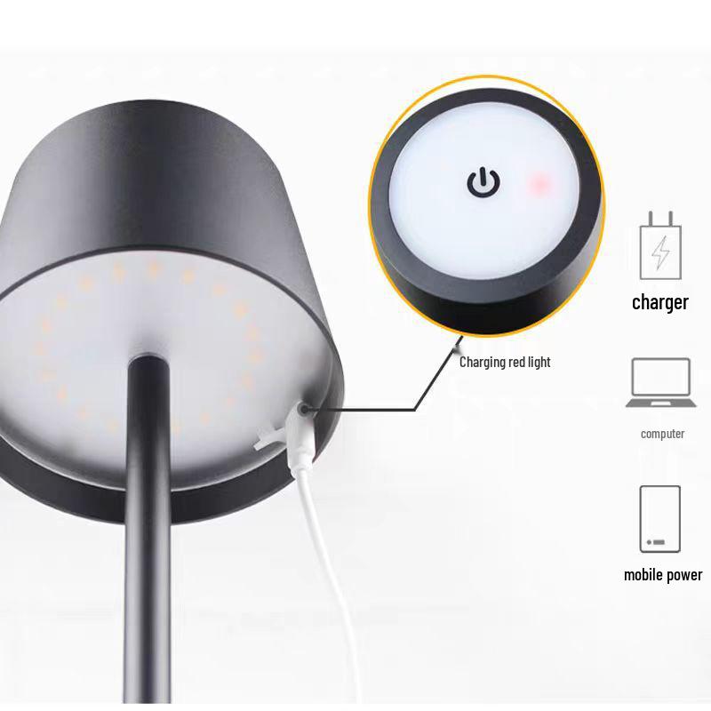 Rechargeable Iron Art LED Desk Lamp for Bedroom and Dining Room