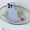 Summer Korean Style Watermelon Keychain Sturdy Alloy Key Ring Cute Phone Charm Gift For Teens