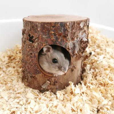 Mouse Tunnel Toy Bite Resistant Moisture-proof Pet Accessory Natural Wooden Hamster Mouse