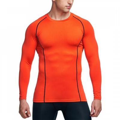 Tesla Athleio Sports All Season Crew Neck Long Sleeve Underlayer Ao Bls11