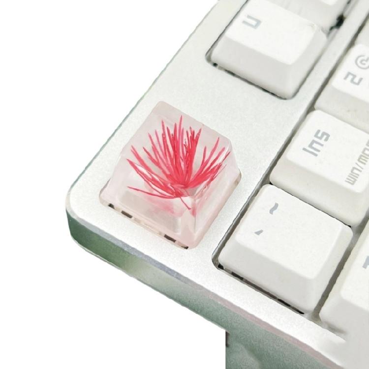 Resin ESC Keycap Decorative Pine Blossom Dry Flower Keycaps for Mechanical Keyboards with Exceptional Transparency