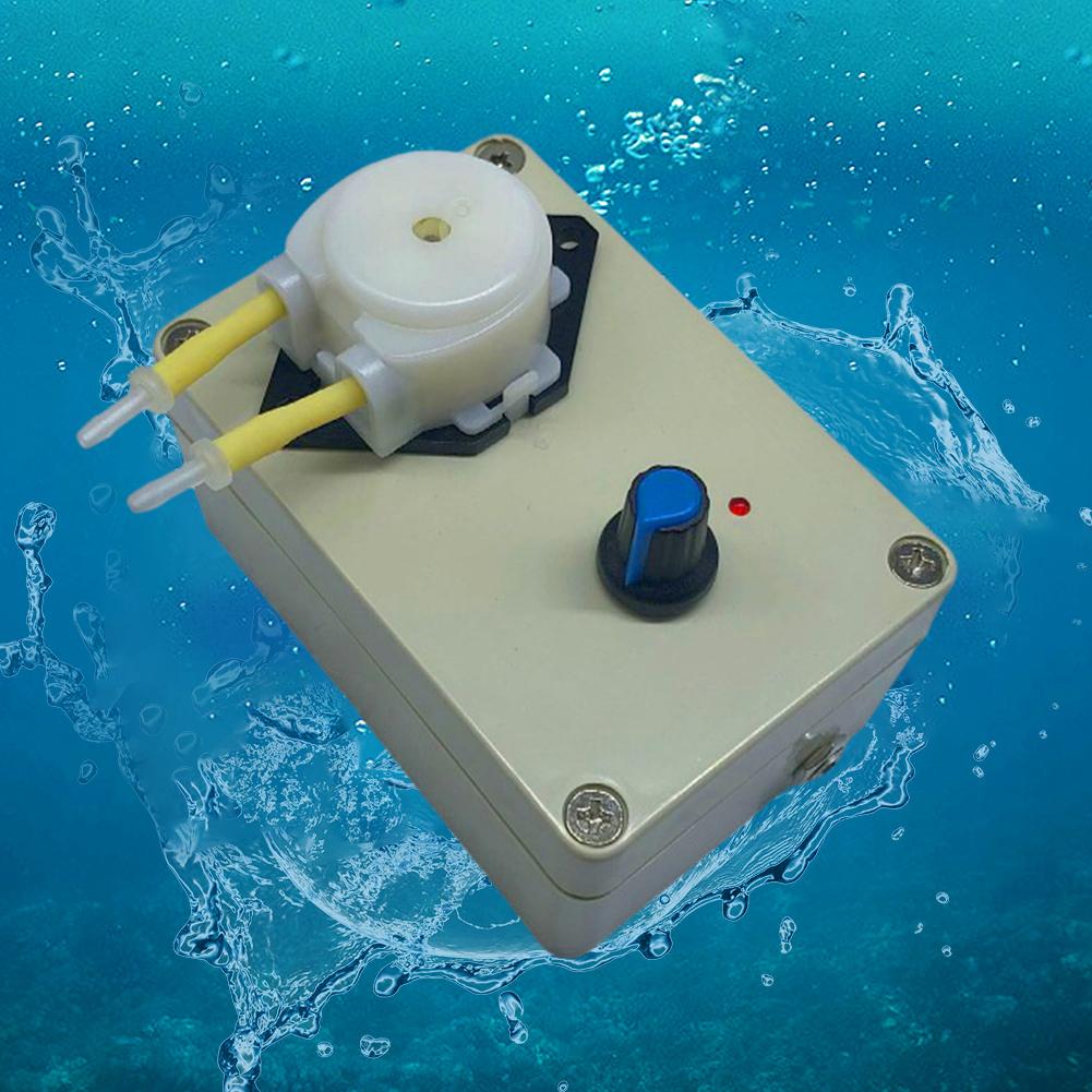 Dosing Pump US Plug Adjustable Speed Peristaltic Pump Adjustable Flowing Titration Pump 220V Micro-Type Pump China Mainland