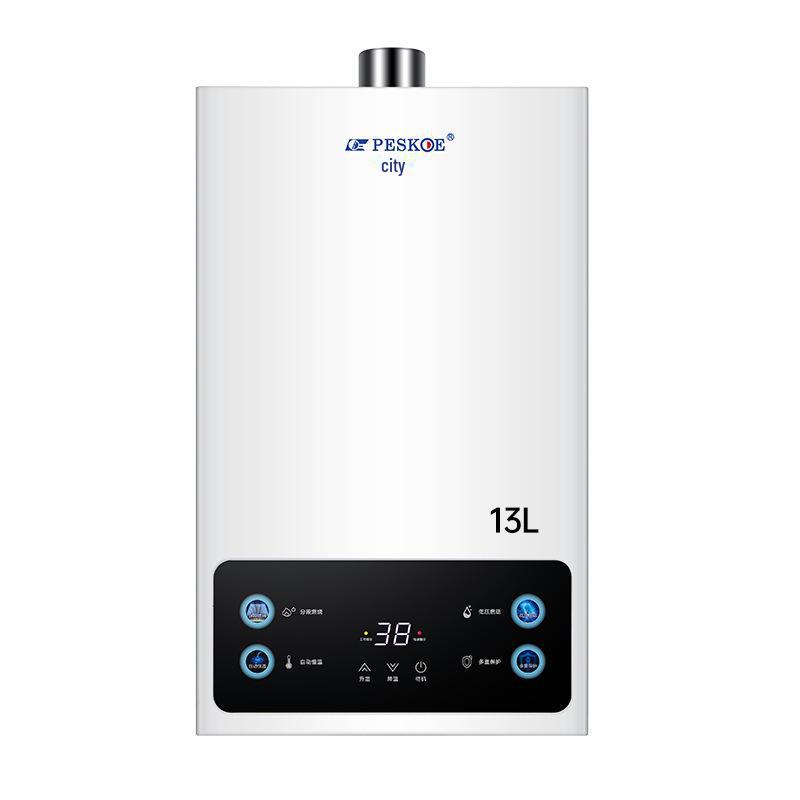 Hemisphere 12L/16L Natural Gas Water Heater, Electric Constant Temp, Forced Exhaust, Balanced LPG