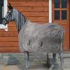 Winter Warm Horse Protective Clothing & Horse Protective Blanket Anti-mosquito Flannel Horse Blanket Equestrian Supplies