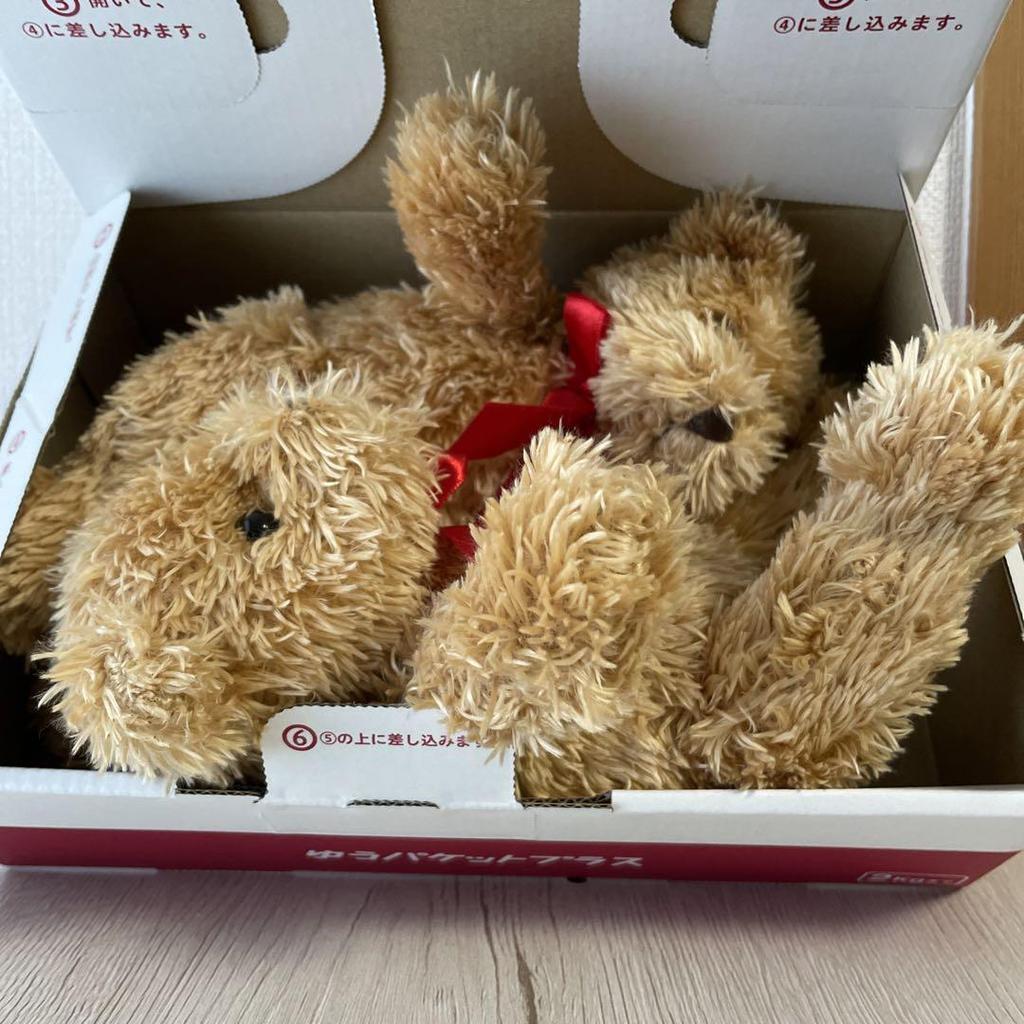 [USED] Teddy Bear CE Mark