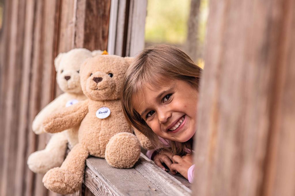 Steiff Ben Teddy Bear 30cm 113963