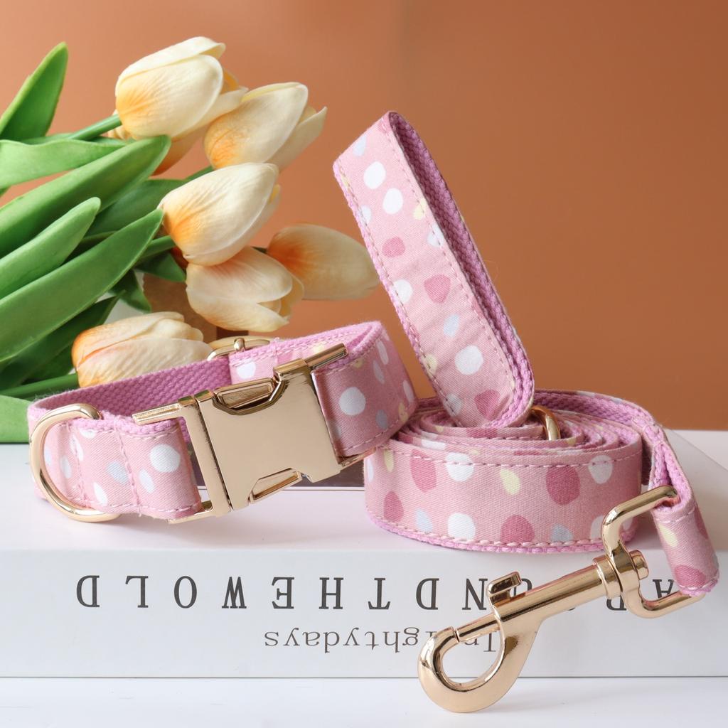 Personalized Customized Dog Collar Set Soft Padded Free Engraving Name for Small Medium Large Dogs Adjustable 8 Colors Dog Leash