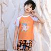Kids' Cartoon Swimwear Set: Boys' & Girls' Swim Trunks, Short Sleeve for Middle & Big Children