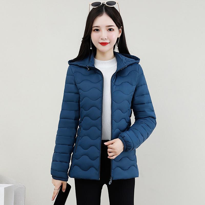 Women's Short  Clothes, Small Slim-fitting Warm  Clothes, Autumn and Winter  Jackets, New Versatile Jackets