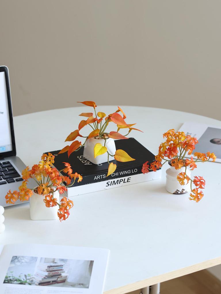 Miniature Succulent Bonsai Desk Ornament: Green Plant Props for Home or Office Decor