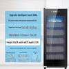 Large Capacity Vertical Double Door Disinfection Cabinet for Tableware