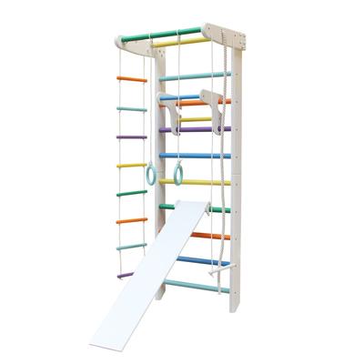 Hummingbird Plus Gymnastic Ladder