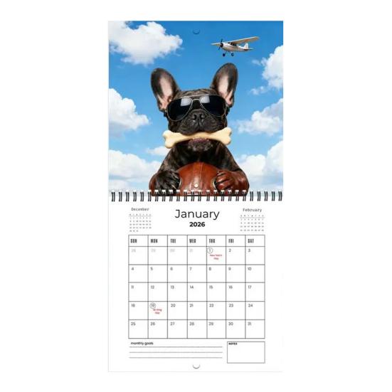 Französische Bulldogge Kalender 2026 Januar 2026 - Dezember 2026 12 Monatskalender Lustiger Frenchie Wandplaner für Zuhause Büro