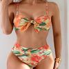2025 European & American Sexy Print Split Bikini Set Women's Swimwear