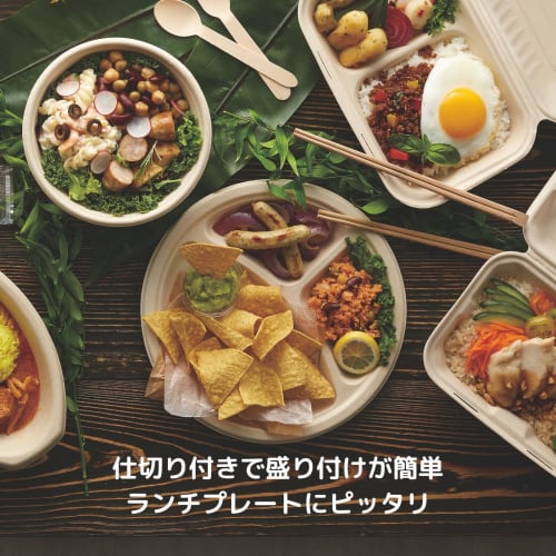 Shimojima Heiko Eco Bamboo Paper Plates with Dividers, BPY-25, 20-Pack, 004491018