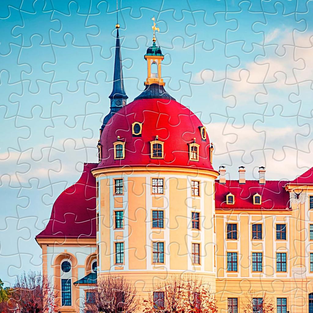 Pintoo 1000 Piece Plastic Jigsaw Puzzle Moritzburg Castle Difficult for No Clicks Into Place [Autumn (Germany)] (38X59cm) Adults, Pieces, [H2174]