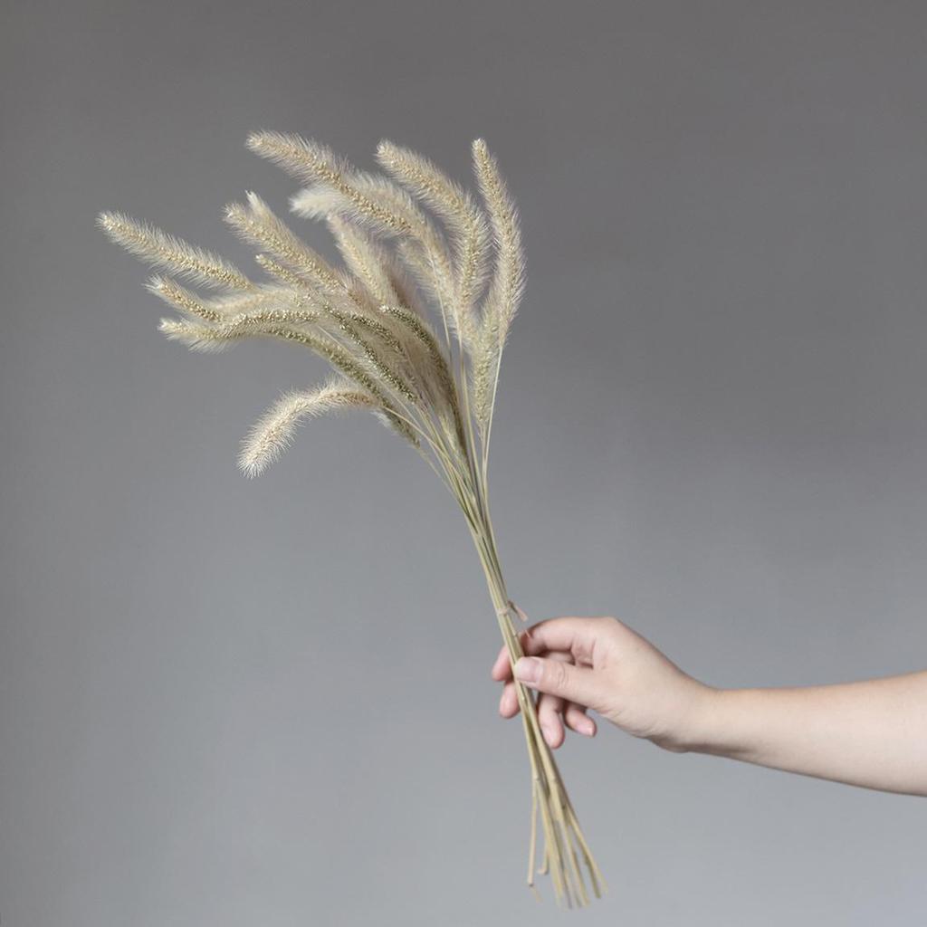 Wabi-sabi Dried Flower Arrangement: Reed, Pine Cones, Cotton, Wheat, Poppy Bouquet