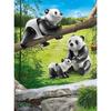 PLAYMOBIL - 70353 - Couple De Pandas Avec Bébé En Plastique - Mixte - A Partir De 4 Ans