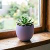 3D Printed Cracked Egg Planter Creative Eggshell Shape Flowerpot Pen Holder Storage Ornament Macaron Colors for Home Decor Gift