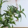 Artificial Greenery Stems Faux Tree Branch with Leaves Fake Silk Enkianthus Perulatus Leaf Plants for Vase Wedding Party Floral Arrangement