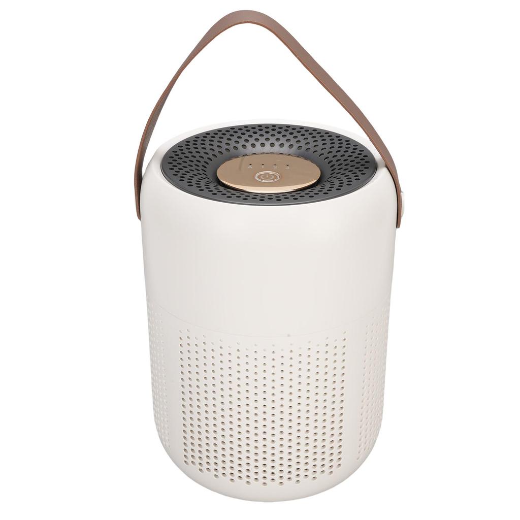 Desktop Air Purifier Ion Release Quiet Portable Odor Removal Indoor Air Purifier for Home Bedroom