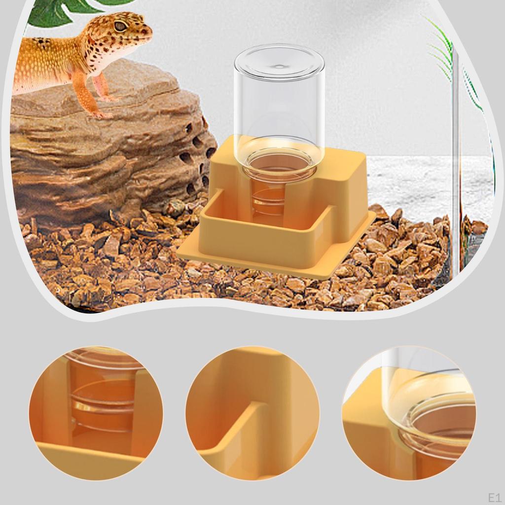 Reptile Feeder Automatic Water Dispenser Tank and Aquarium Accessories for