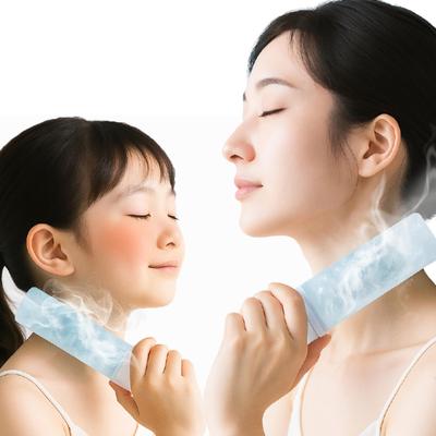Ice Pack In 2025 Model Icing Ice Thermos Water Bottle Vacuum with Cold Keeping Stick Perfect for and Outdoor Activities [Made Japan] Pack, Structure,