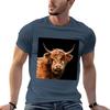Highland Cow In Colour Tshirt T Shirt Unisex Luxury Cotton Tshirt 100 Unisex T Shirt Graphic Tshirt